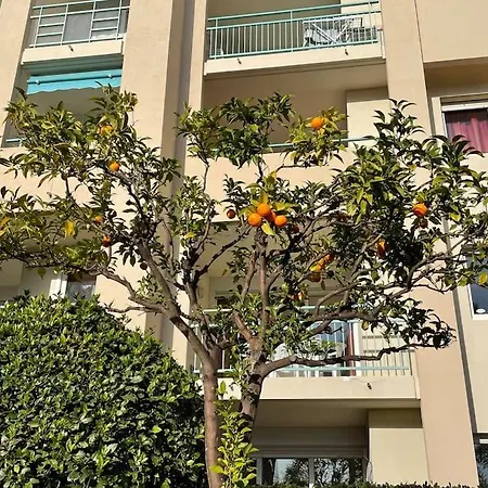 Apartamento Vue Mer/piscine-les Pins Bleus